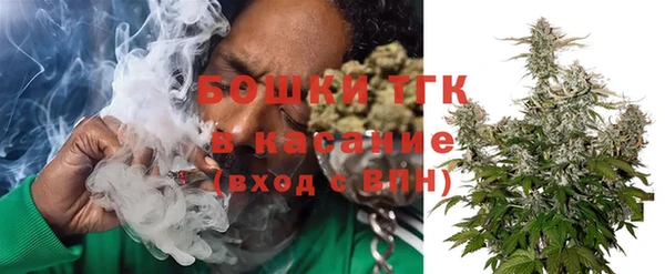 ешки Медногорск
